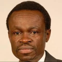Professor PLO Lumumba